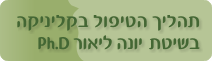 תהליך הטיפול בקליניקה בשיטת Ph.D יונה ליאור